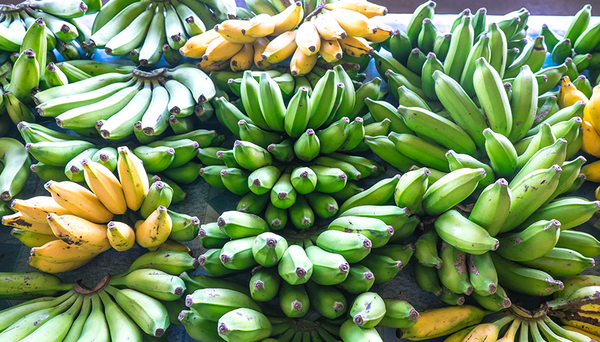 Bananas at Apia's Fugalei Markets